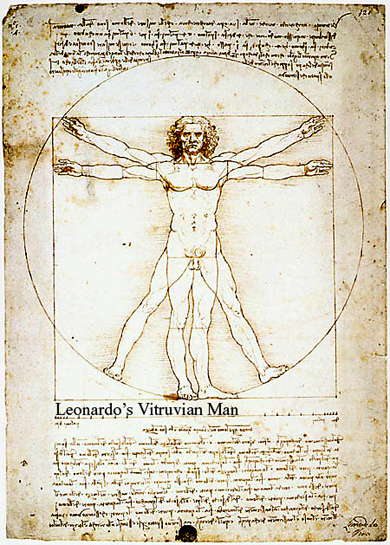 Vinci: Vitruvian man
