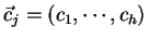 $ \vec{c}_j = (c_{1}, \cdots ,c_{h})$