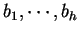 $b_1, \cdots ,b_h$