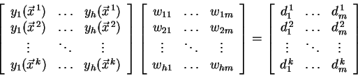 \begin{displaymath}
\left[
\begin{array}{ccc}
y_{1}(\vec{x}^{\,1})&\ldots&y_{h...
...dots\\
d_{1}^{\,k}&\ldots&d_{m}^{\,k}
\end{array}
\right]
\end{displaymath}