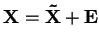 ${\bf X}={\bf\tilde{X}}+{\bf E}$